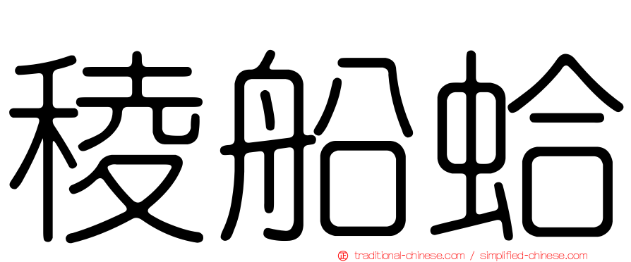稜船蛤