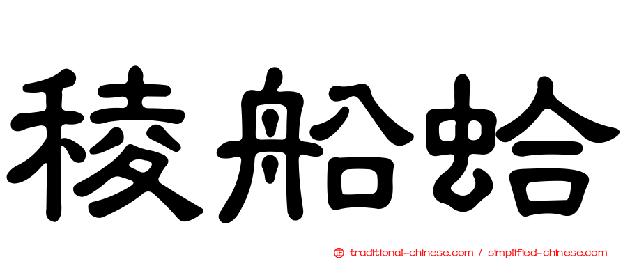 稜船蛤