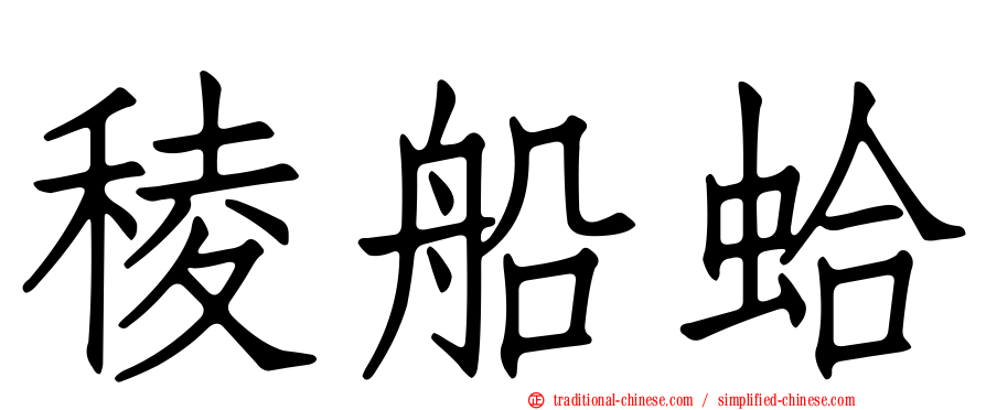 稜船蛤