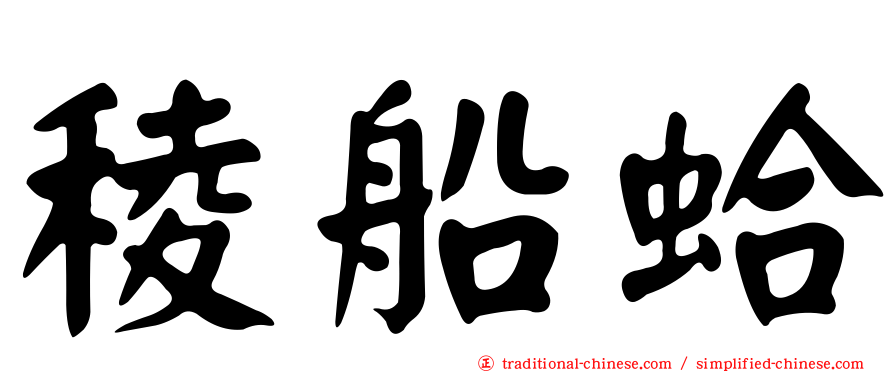 稜船蛤