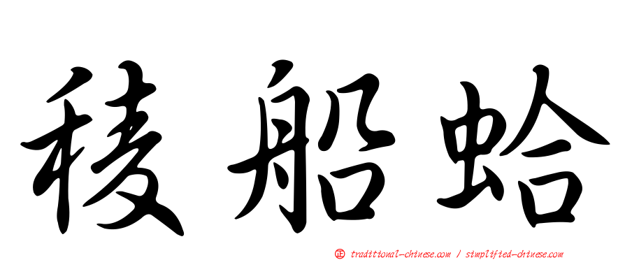 稜船蛤
