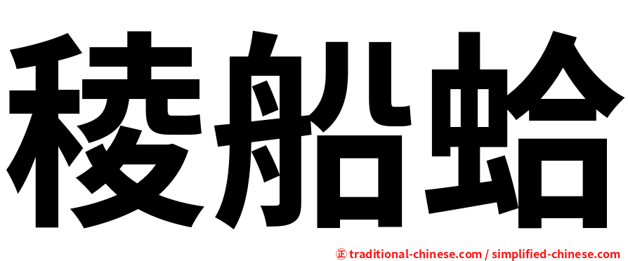 稜船蛤