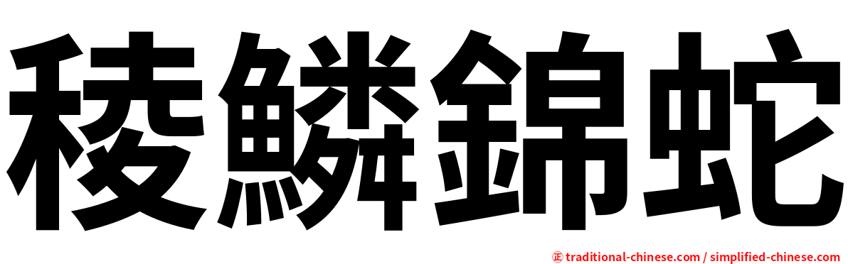 稜鱗錦蛇