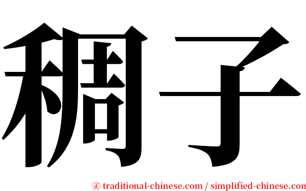 稠子 serif font