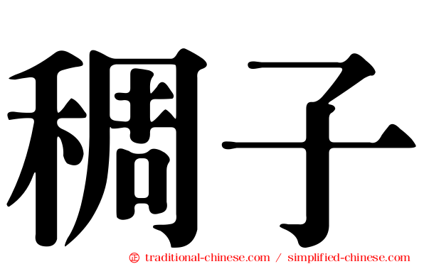 稠子