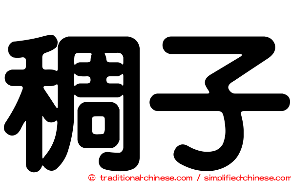 稠子