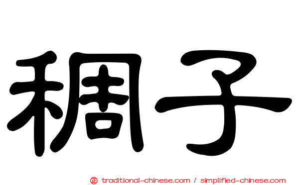 稠子