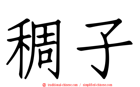 稠子