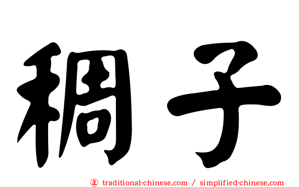 稠子