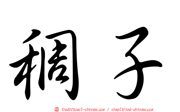 稠子