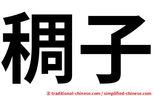 稠子
