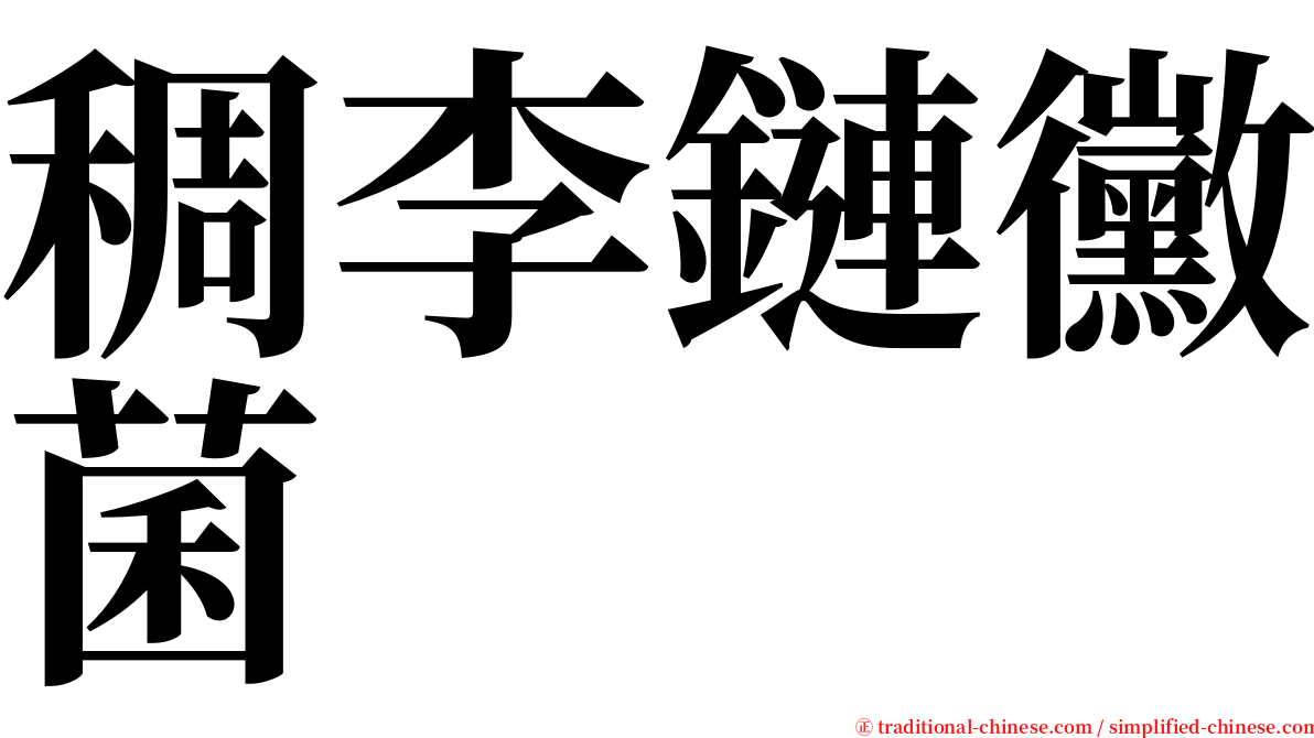 稠李鏈黴菌 serif font