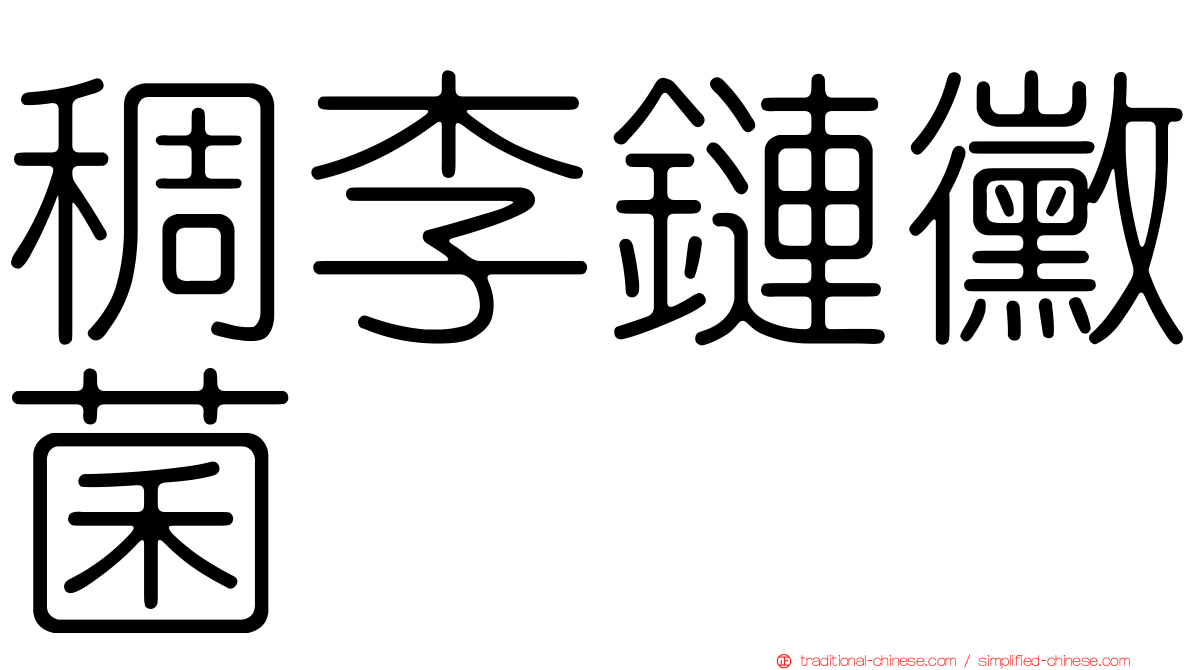 稠李鏈黴菌