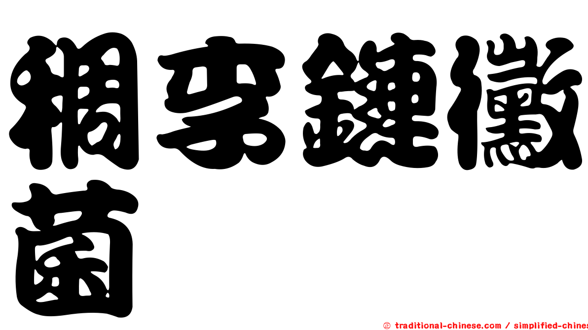 稠李鏈黴菌