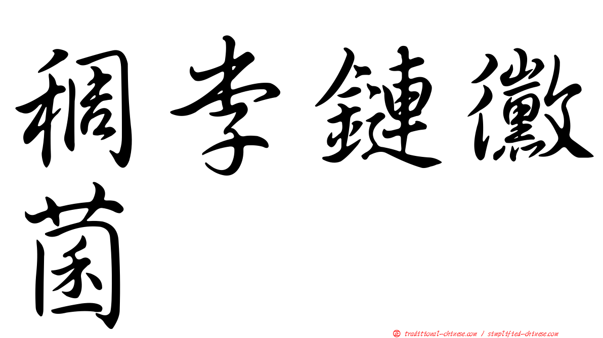 稠李鏈黴菌