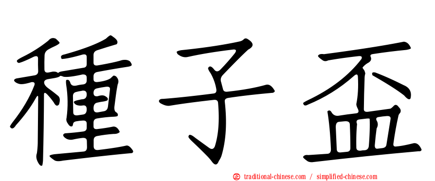種子盃