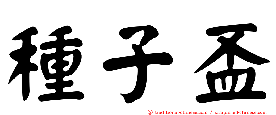 種子盃