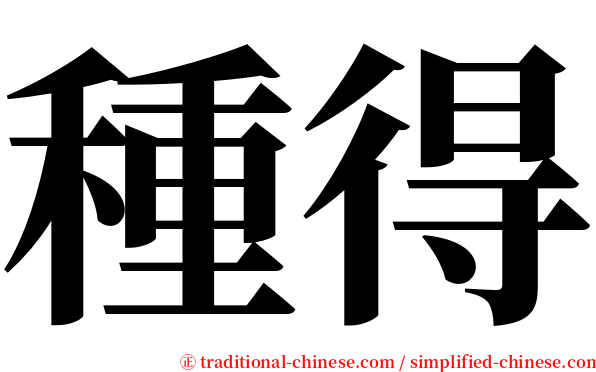 種得 serif font