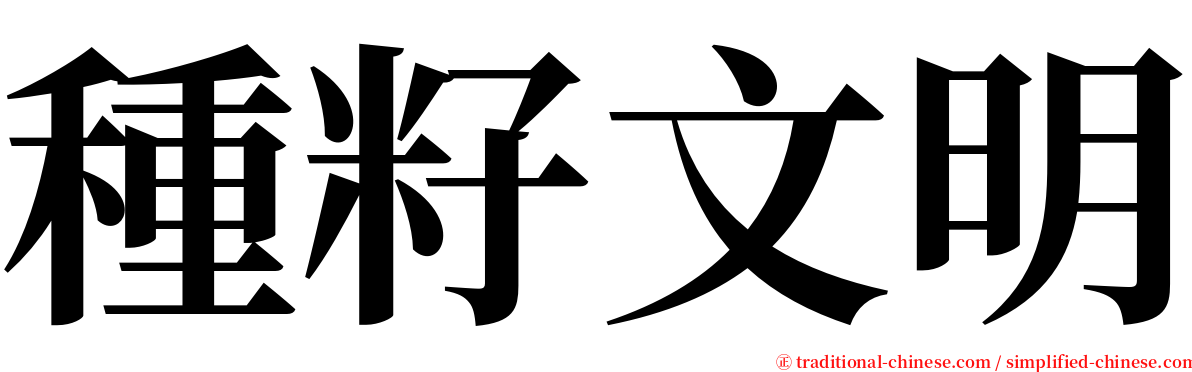 種籽文明 serif font