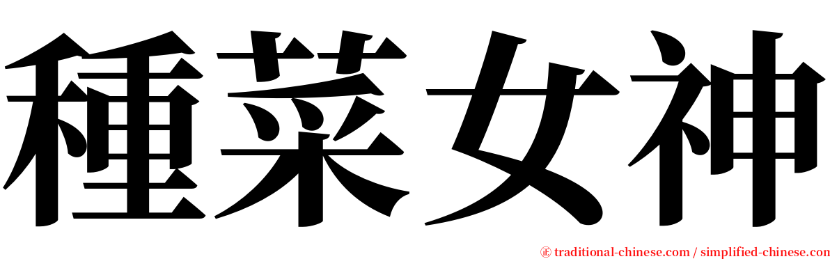 種菜女神 serif font