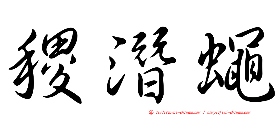 稷潛蠅