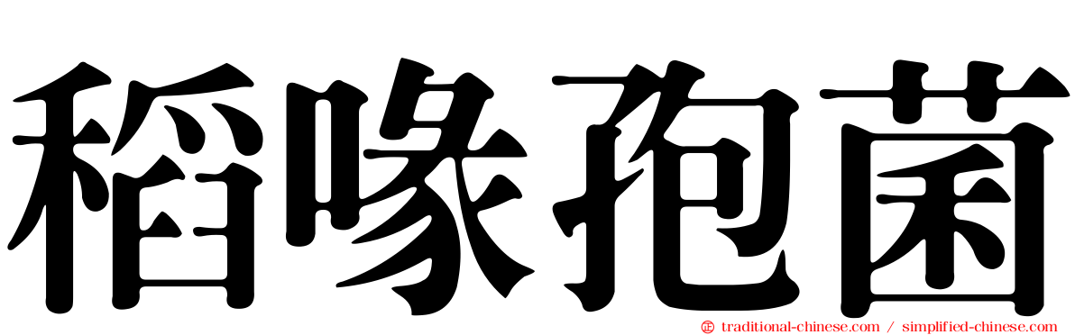 稻喙孢菌