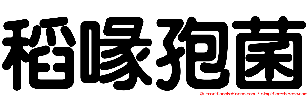 稻喙孢菌