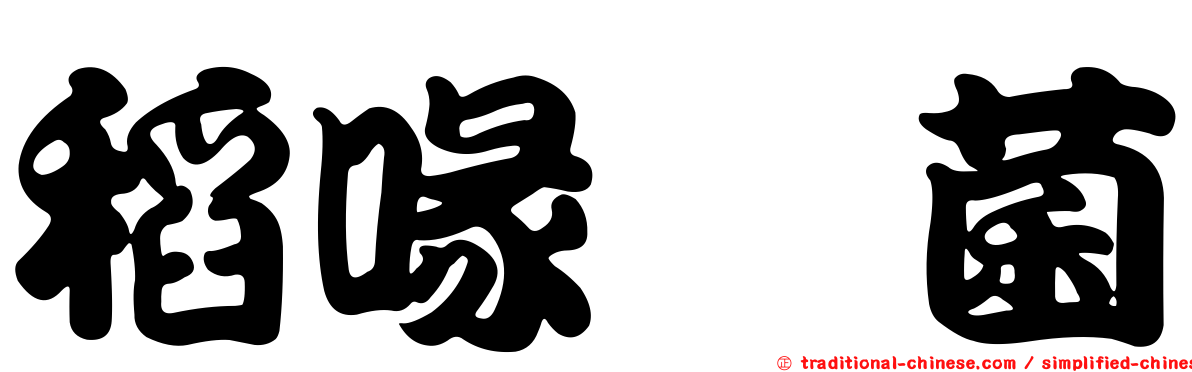 稻喙孢菌