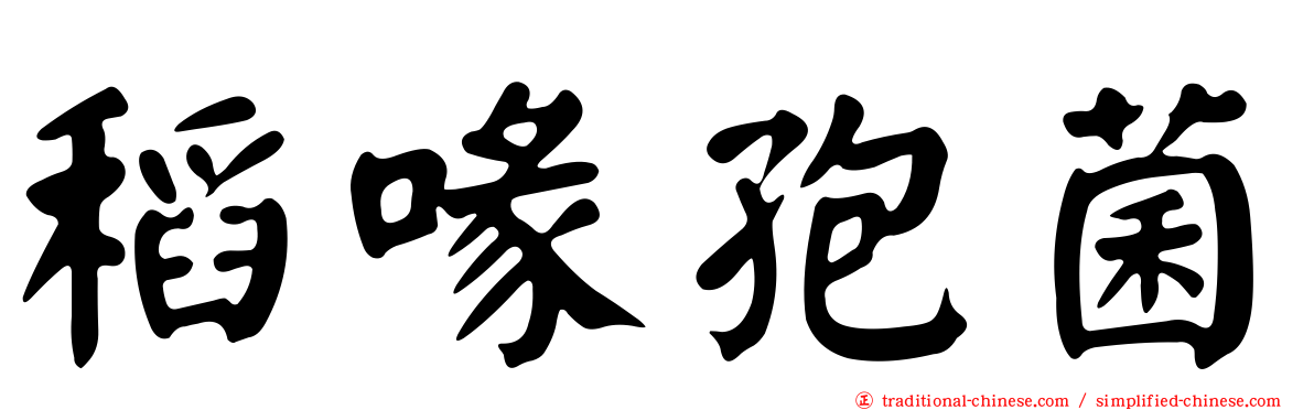 稻喙孢菌