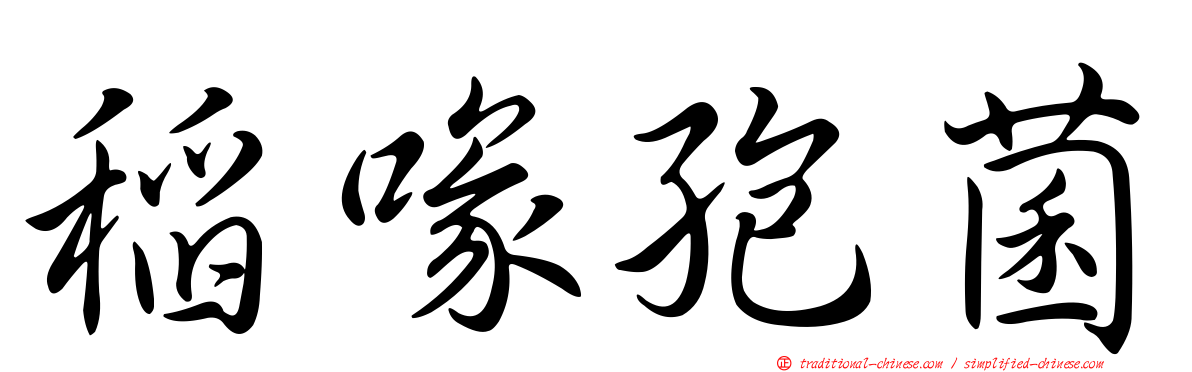 稻喙孢菌