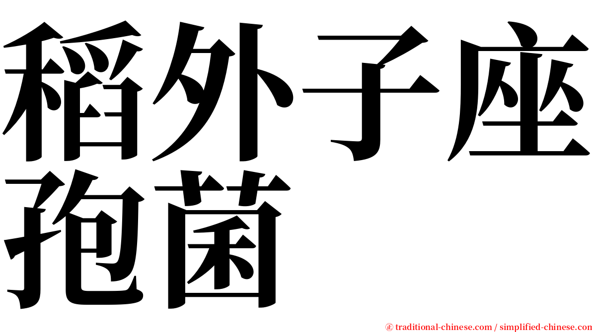 稻外子座孢菌 serif font