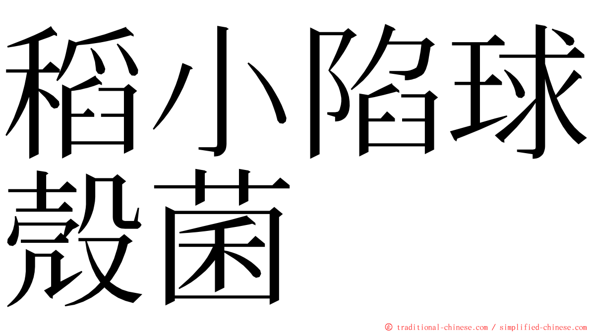 稻小陷球殼菌 ming font