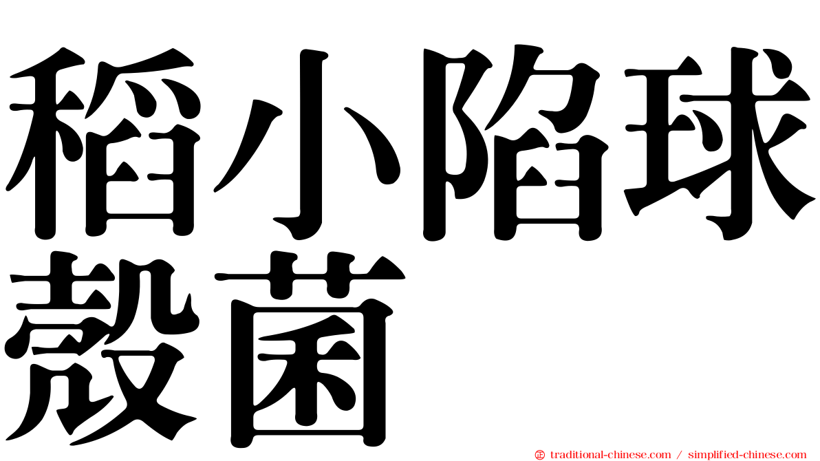稻小陷球殼菌