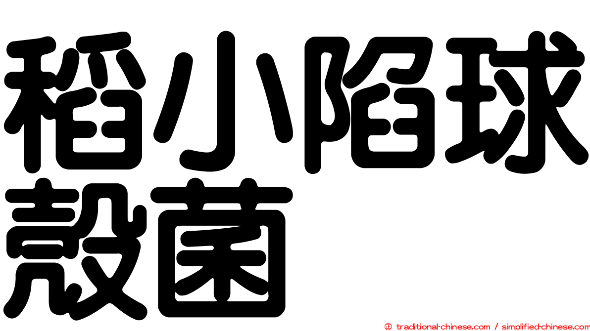 稻小陷球殼菌