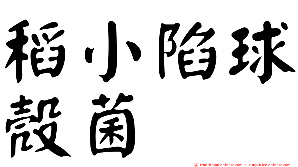 稻小陷球殼菌