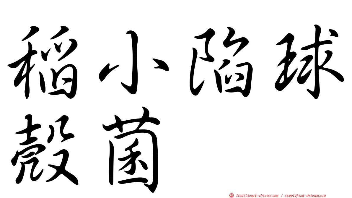 稻小陷球殼菌