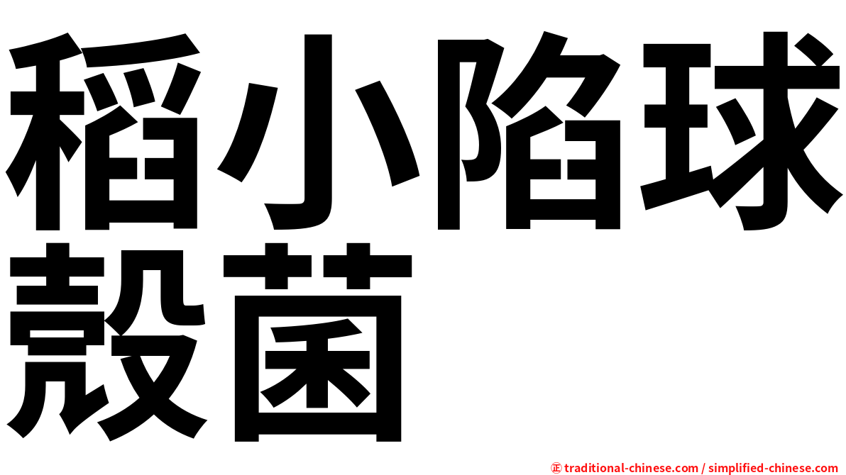 稻小陷球殼菌