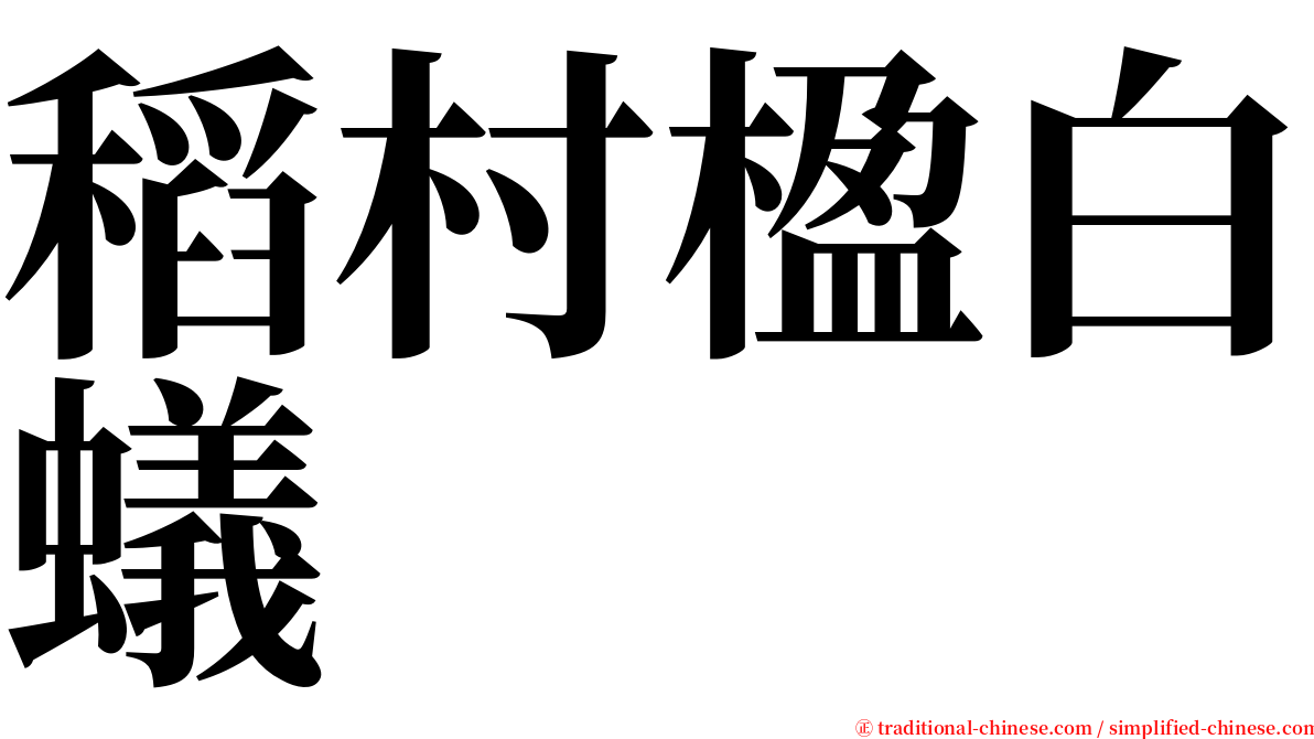 稻村楹白蟻 serif font