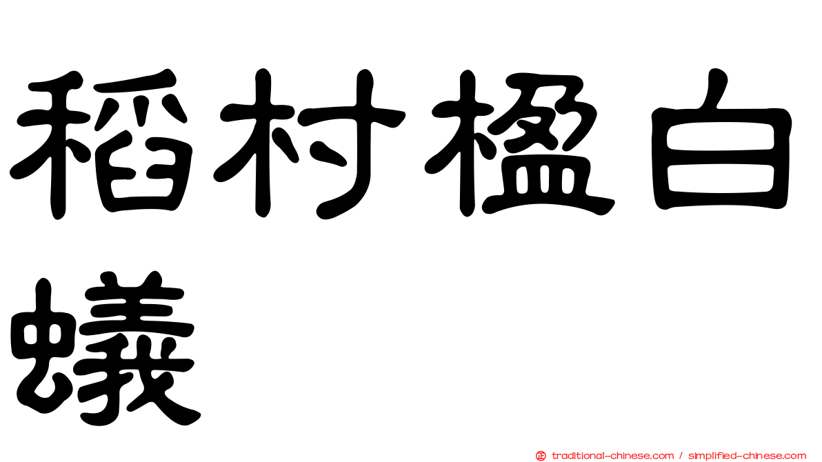 稻村楹白蟻