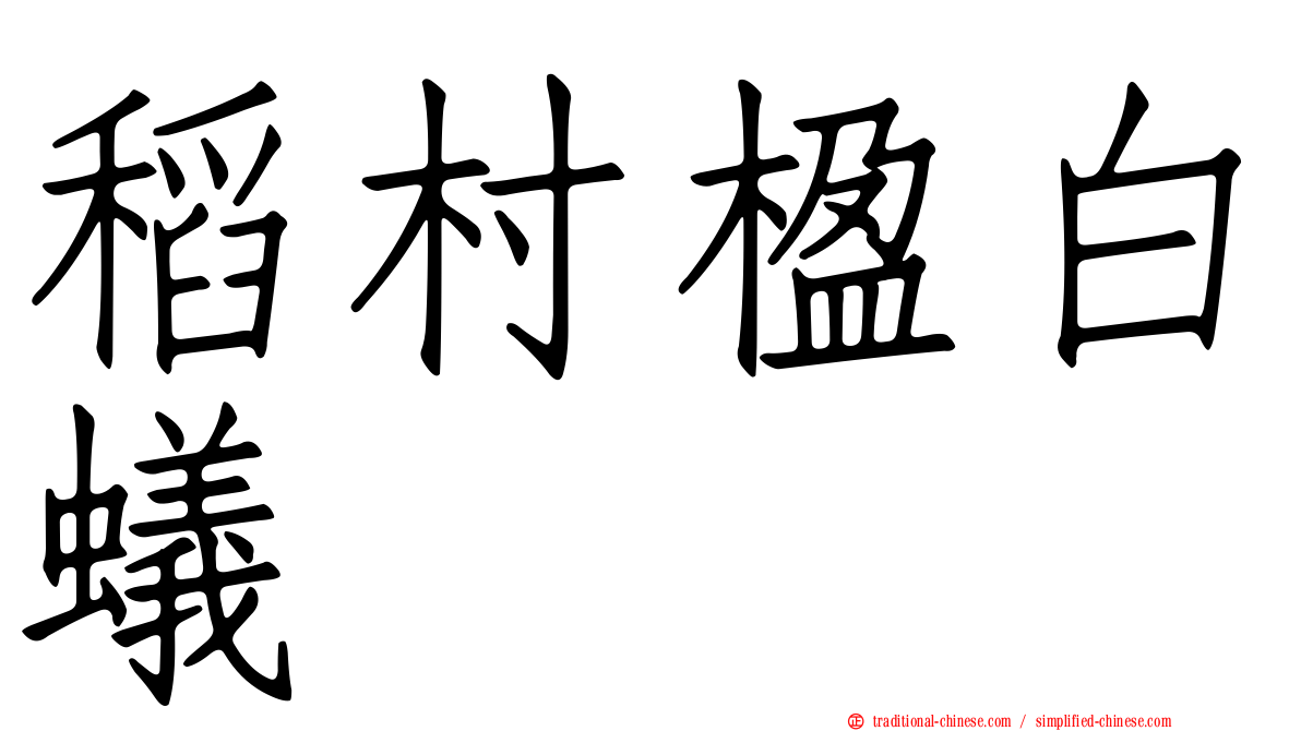 稻村楹白蟻