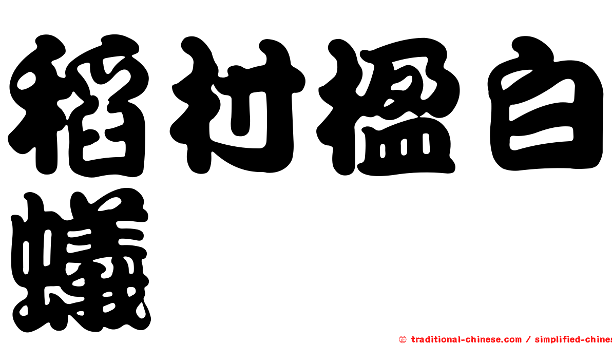 稻村楹白蟻