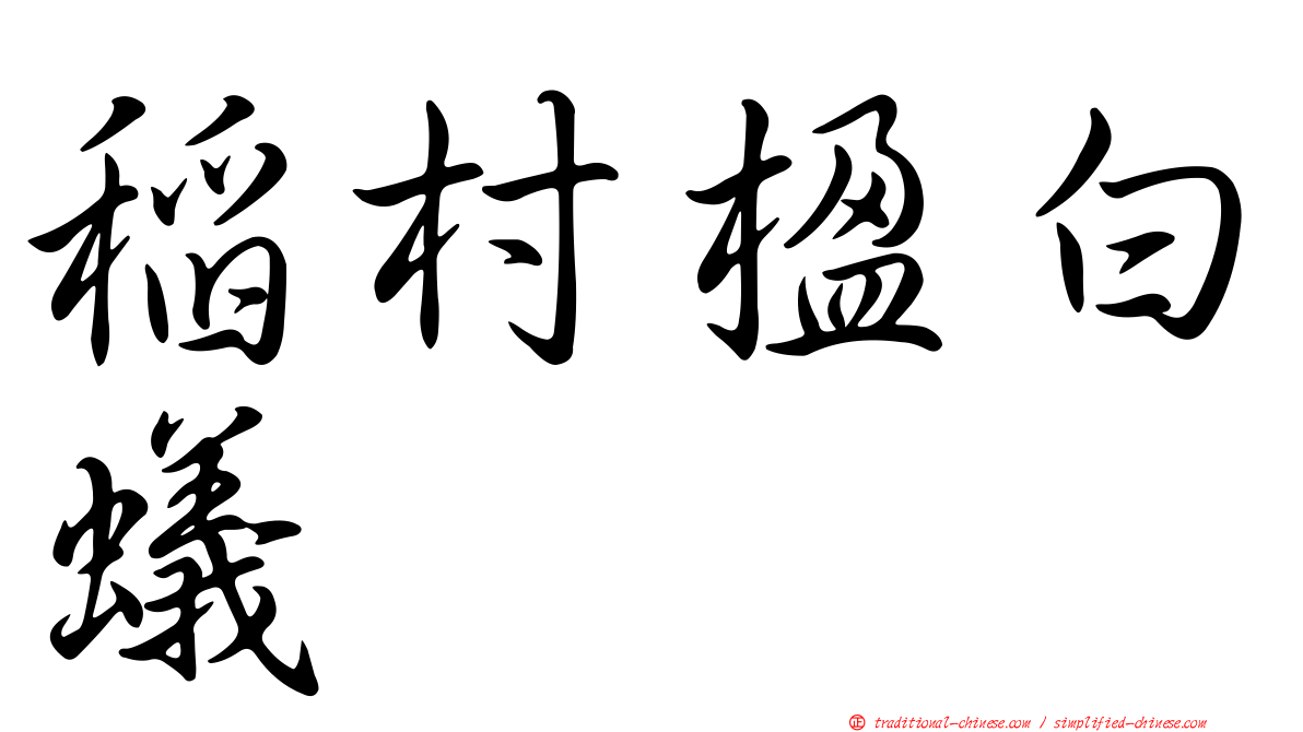 稻村楹白蟻