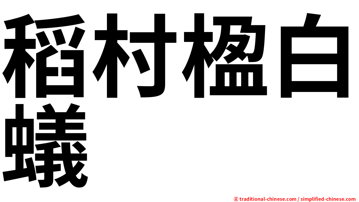 稻村楹白蟻