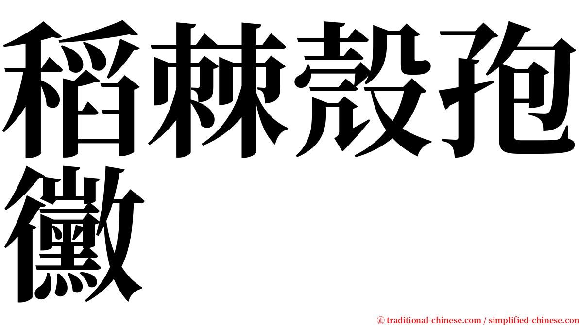 稻棘殼孢黴 serif font