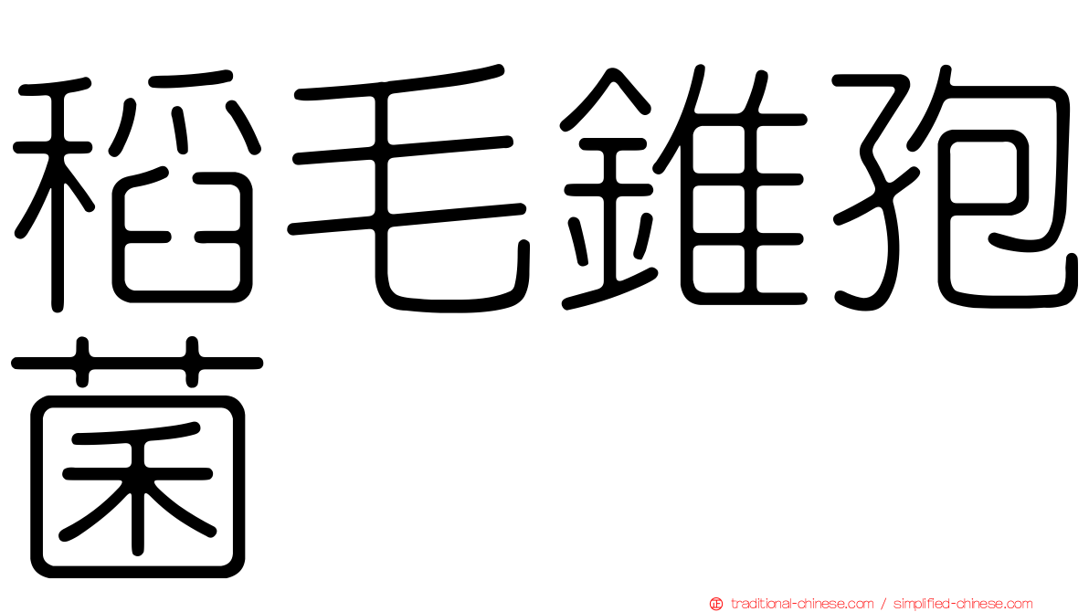 稻毛錐孢菌