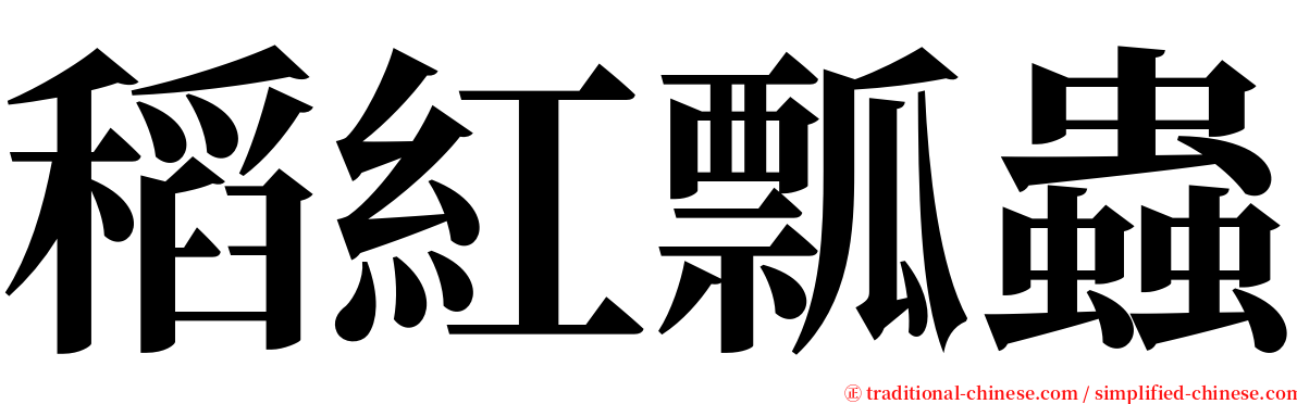 稻紅瓢蟲 serif font