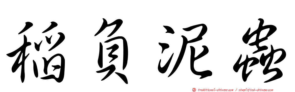 稻負泥蟲