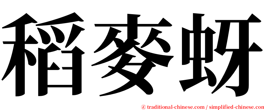 稻麥蚜 serif font