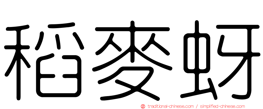 稻麥蚜