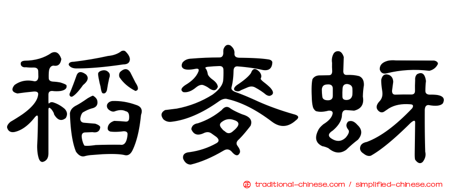 稻麥蚜